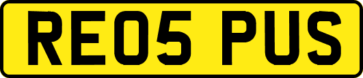 RE05PUS