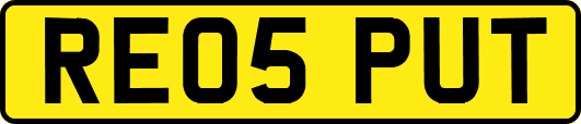 RE05PUT