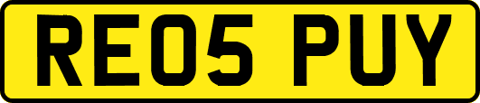 RE05PUY
