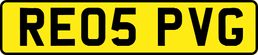 RE05PVG