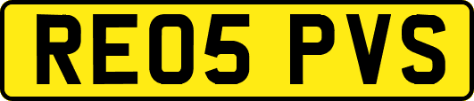 RE05PVS