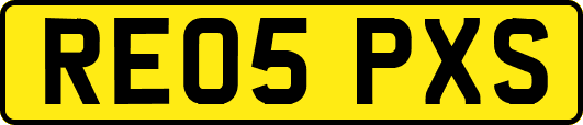 RE05PXS