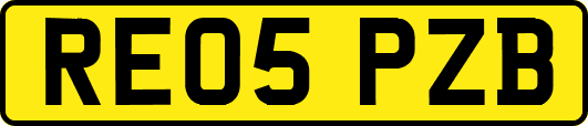 RE05PZB