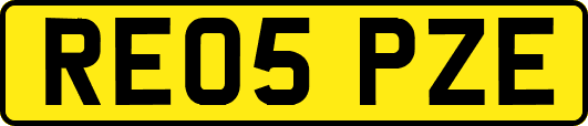 RE05PZE
