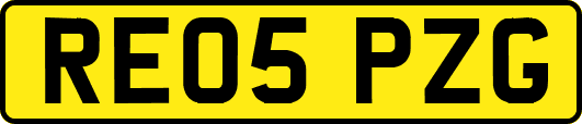 RE05PZG