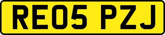 RE05PZJ