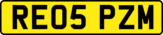 RE05PZM