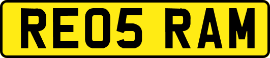 RE05RAM