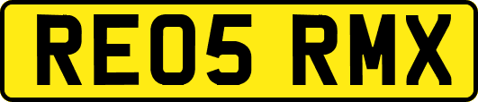 RE05RMX