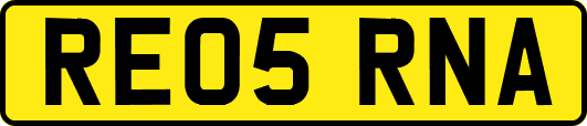 RE05RNA
