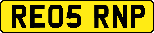 RE05RNP