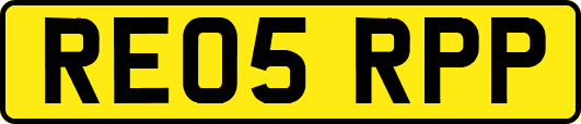 RE05RPP