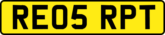 RE05RPT