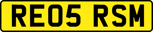 RE05RSM
