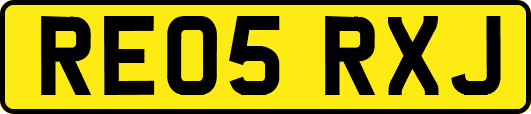 RE05RXJ