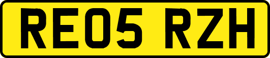 RE05RZH