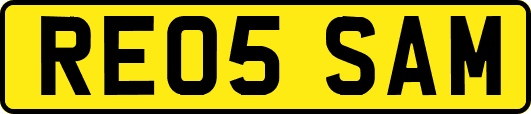 RE05SAM