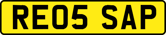RE05SAP