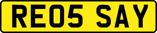 RE05SAY