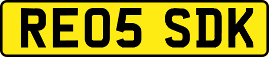 RE05SDK