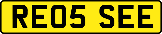 RE05SEE