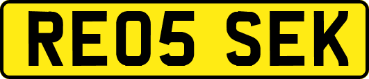 RE05SEK