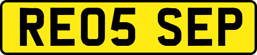 RE05SEP