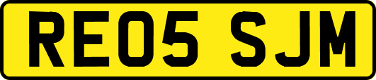 RE05SJM