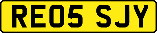 RE05SJY