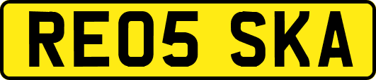 RE05SKA