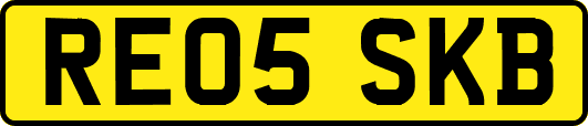 RE05SKB