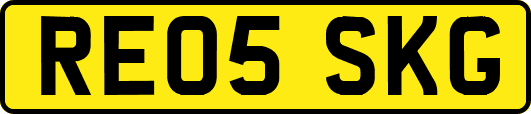 RE05SKG