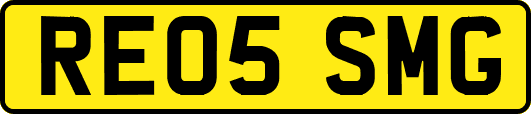 RE05SMG