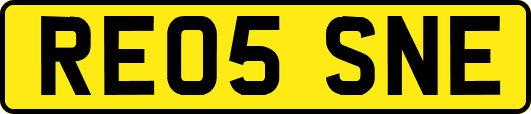 RE05SNE