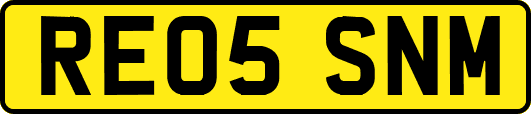 RE05SNM