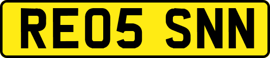 RE05SNN