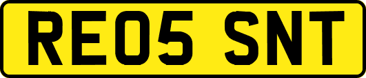 RE05SNT