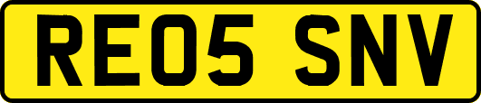 RE05SNV