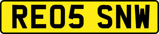 RE05SNW