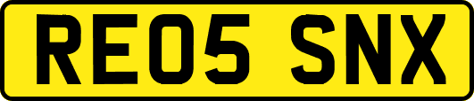 RE05SNX