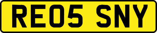 RE05SNY
