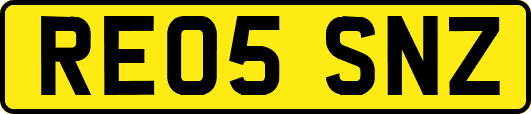 RE05SNZ
