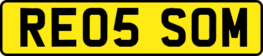 RE05SOM