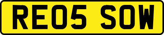 RE05SOW