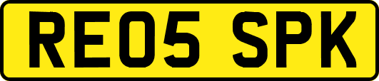 RE05SPK