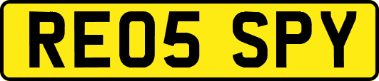 RE05SPY