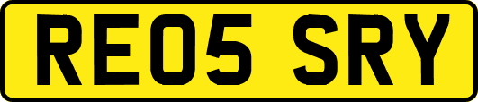 RE05SRY