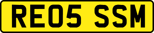 RE05SSM
