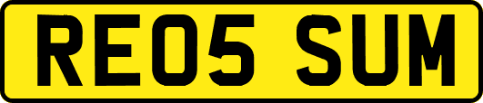RE05SUM