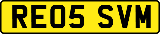 RE05SVM